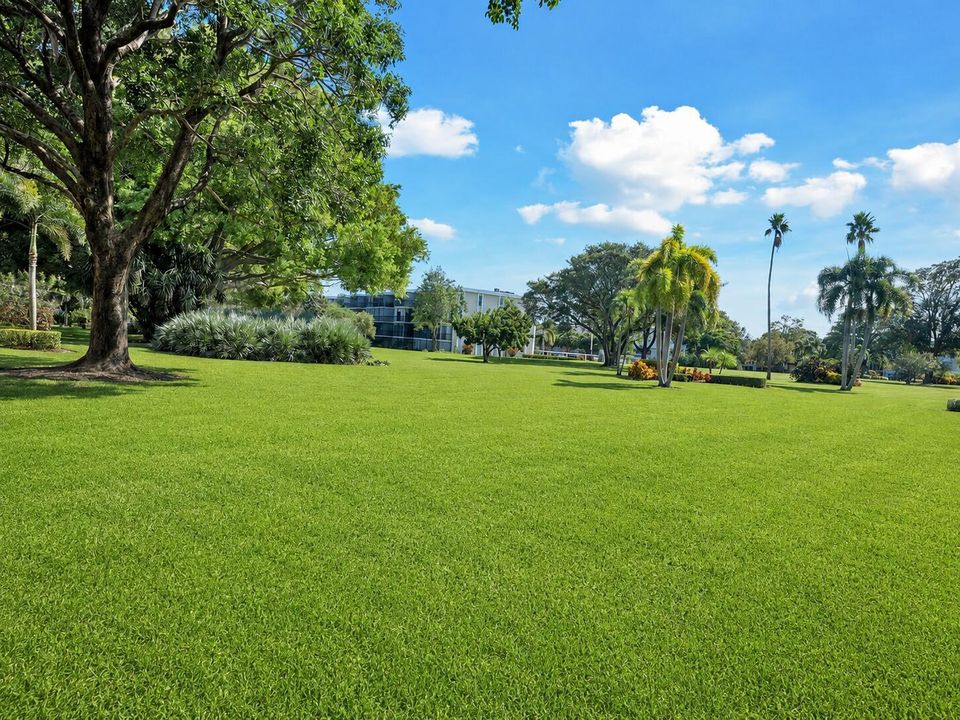 (60) Ocean Parks Garden View