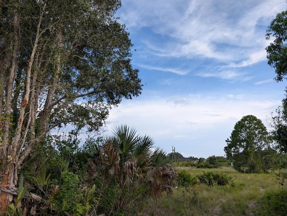 PXL_20260724_214020268