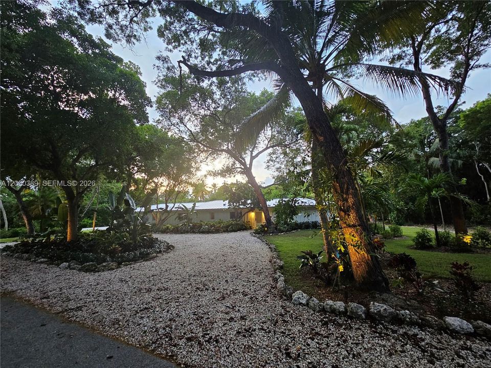 Front of home landscape lighting