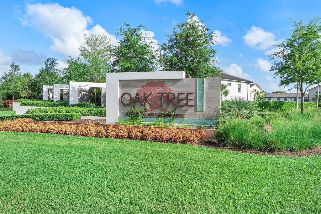 OakTree2