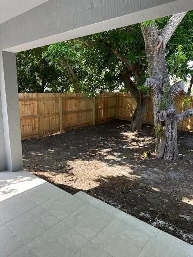 Backyard 1