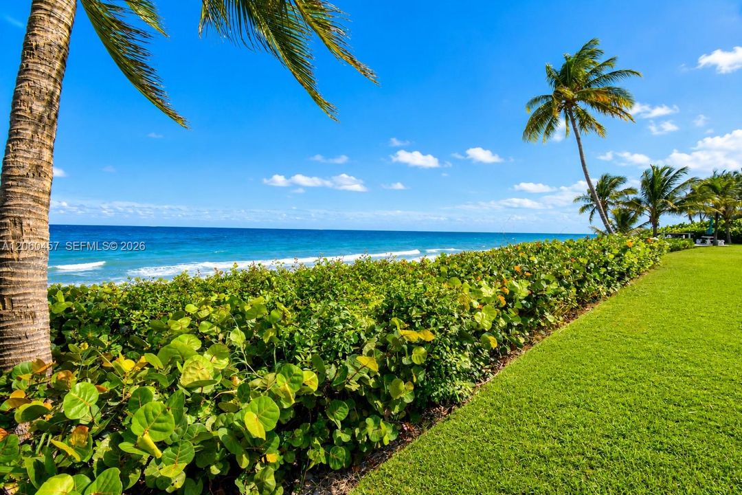 Ocean View