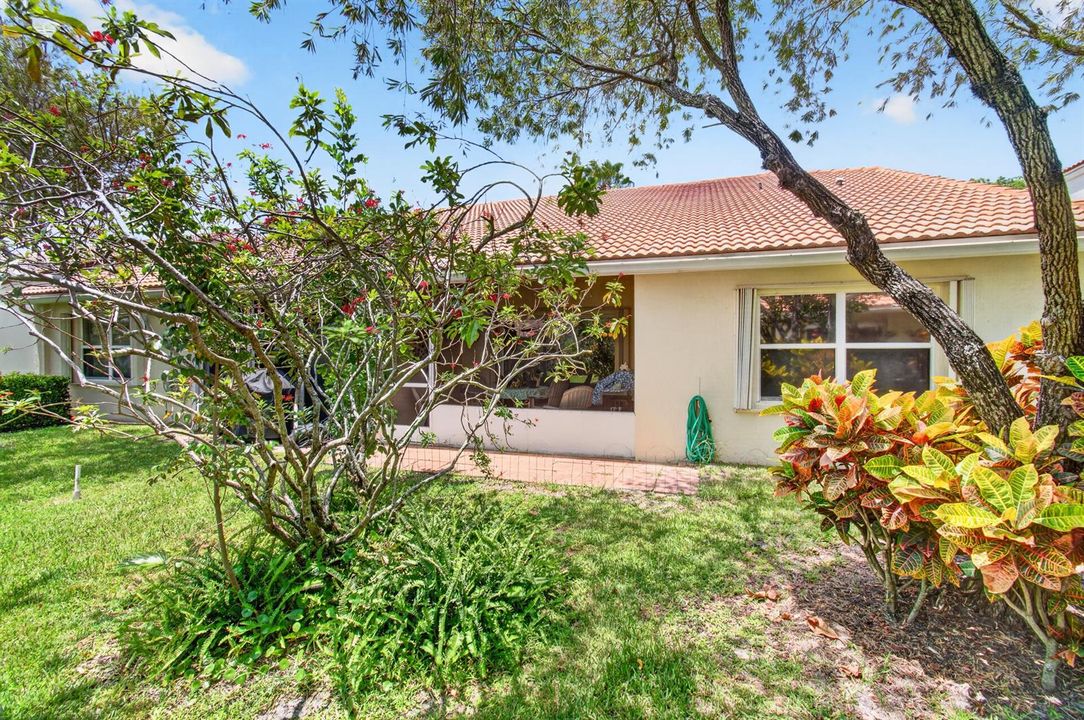 Back Exterior