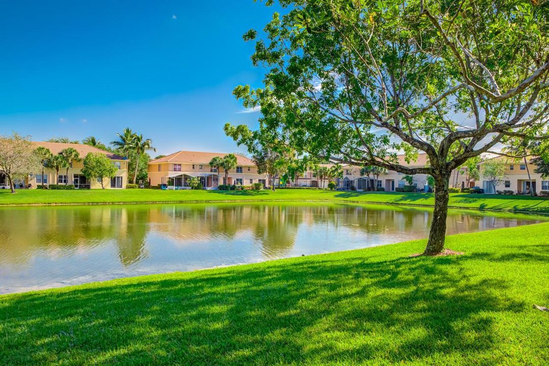 Backyard Lake View