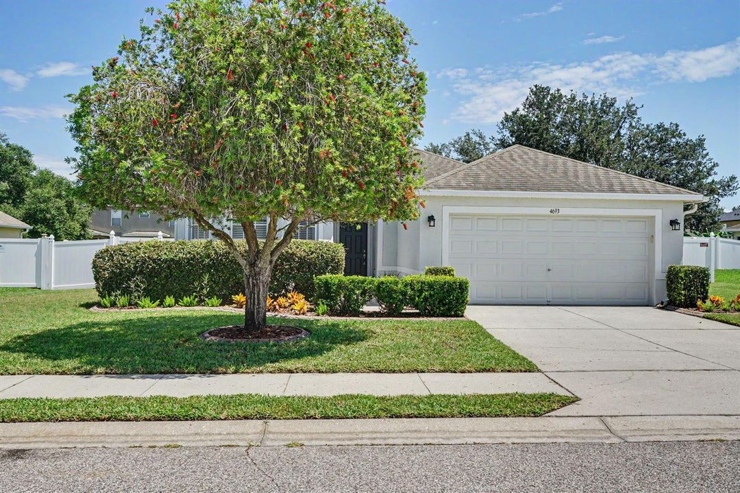 23-web-or-mls-DSC00465