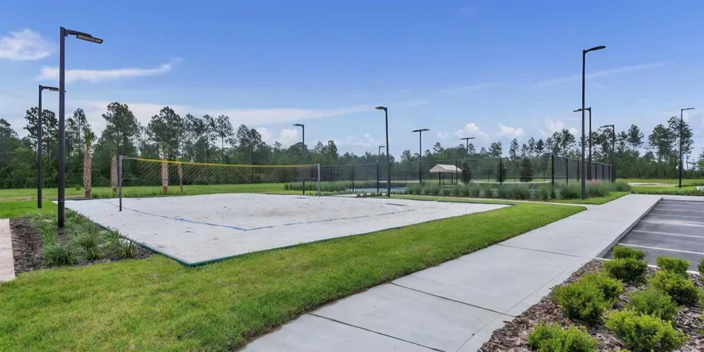 Volleyball