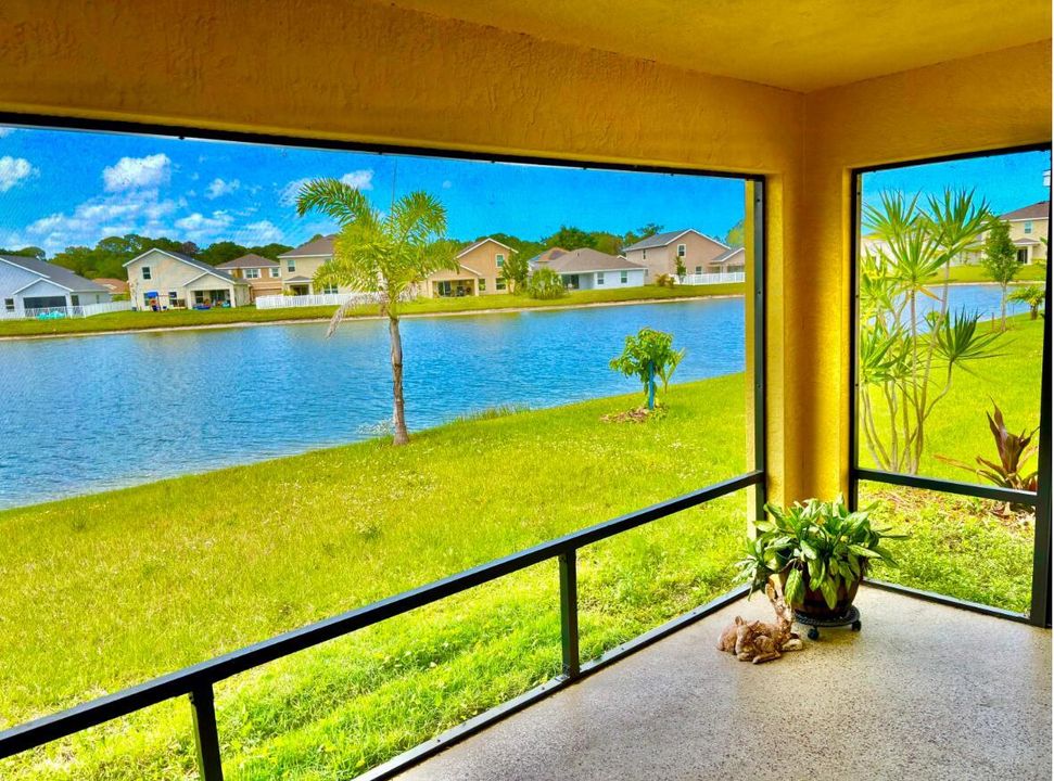 Back Porch