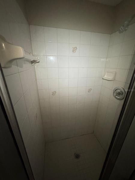primary bath 2