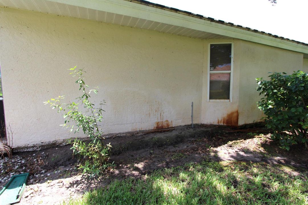 Side Yard