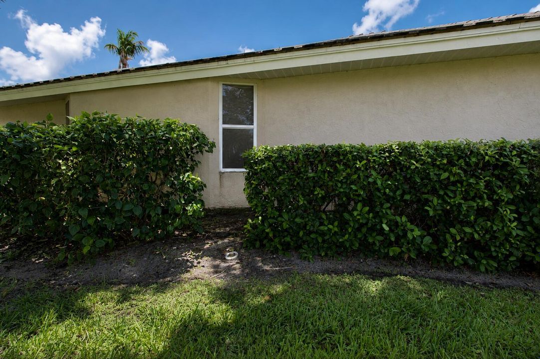 Side Yard