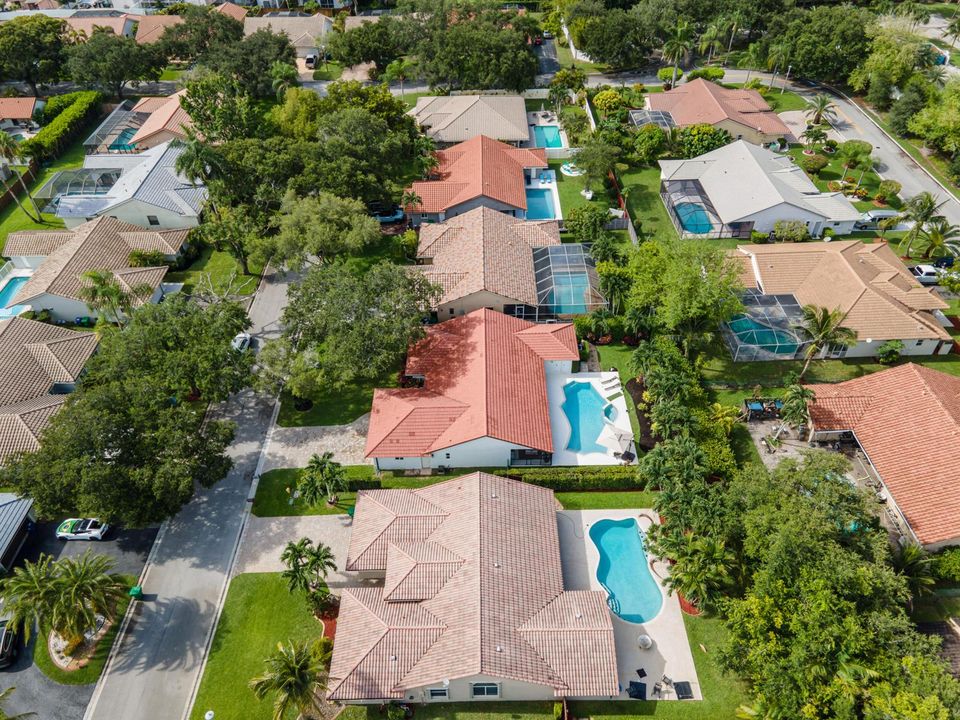 DJI_0959