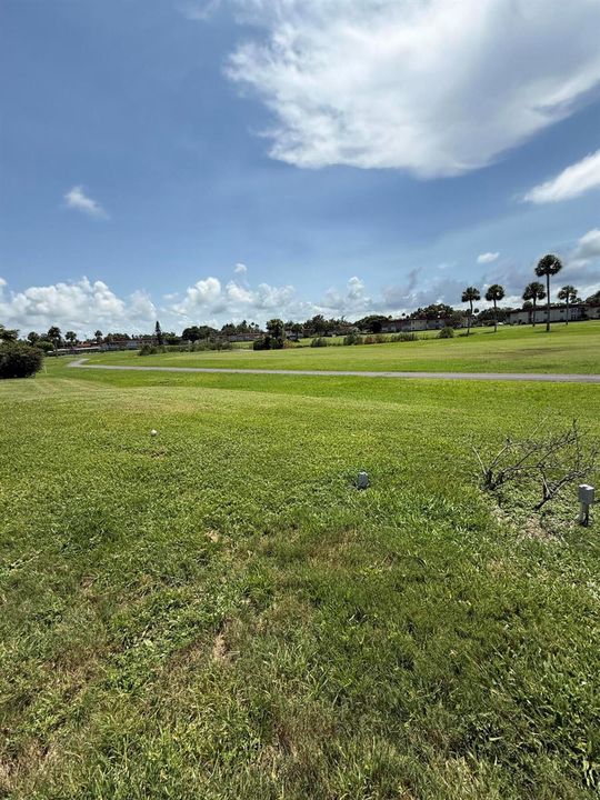Golf view