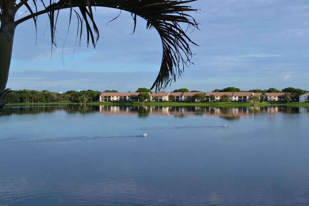 4 20-Acre Spring Fed Lake