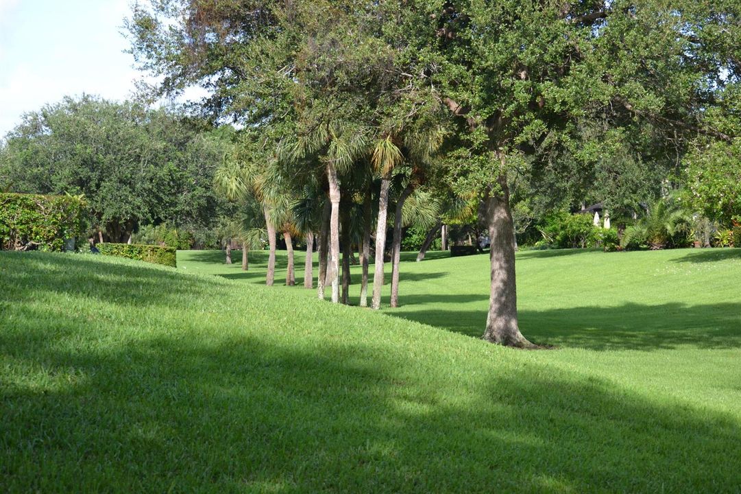 6 Open Green Space