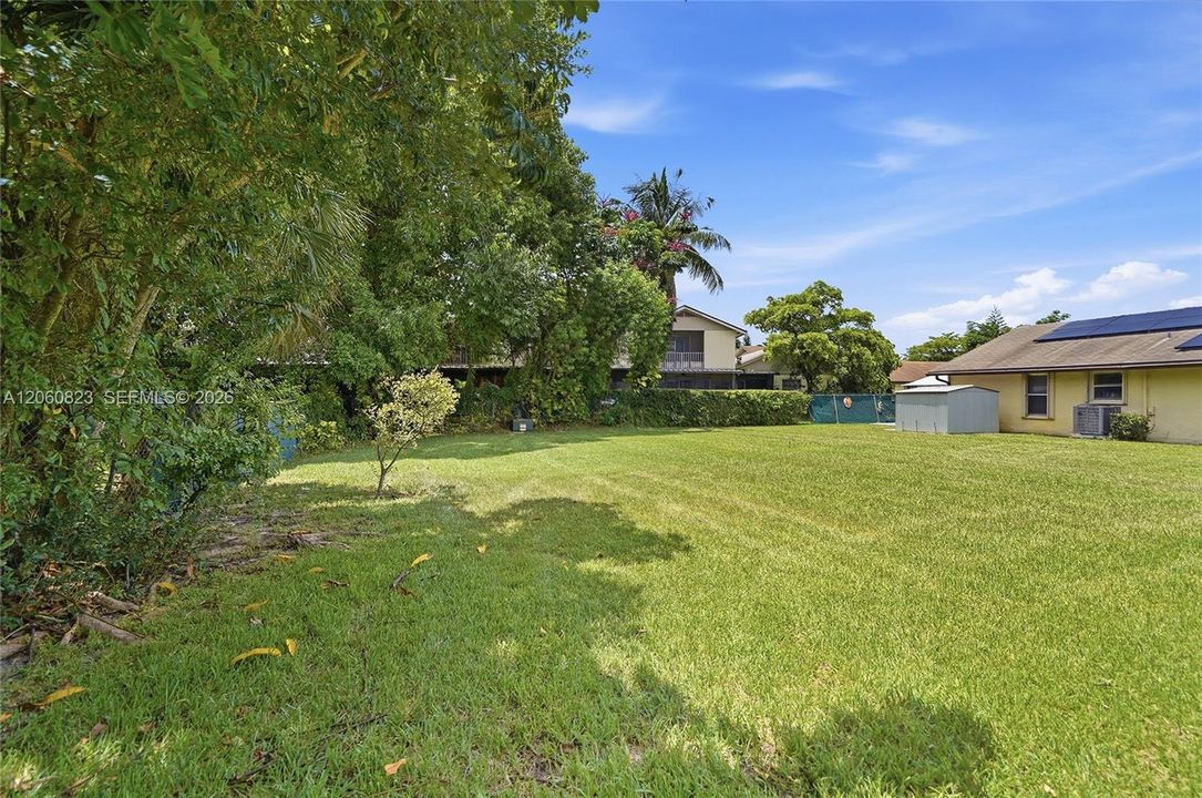 Backyard
