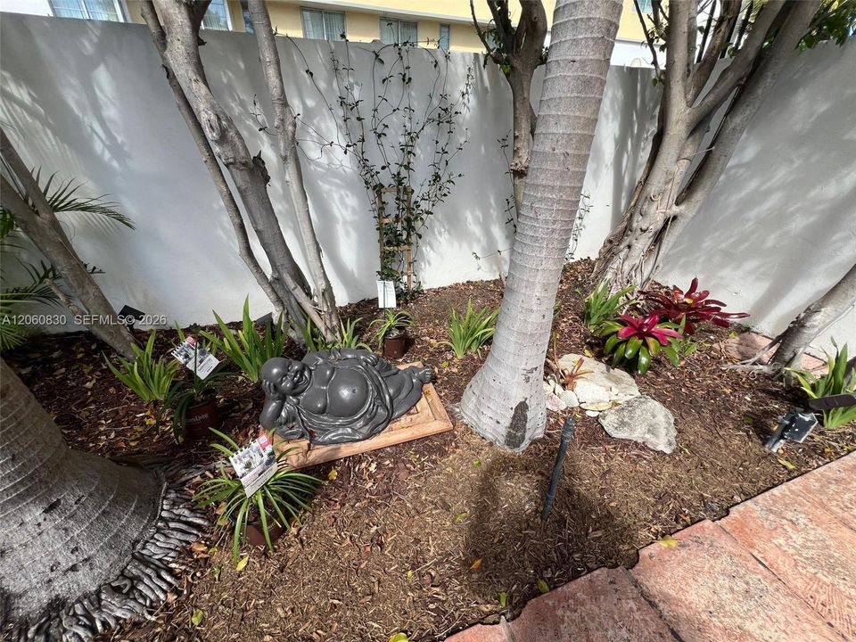 Zen Garden