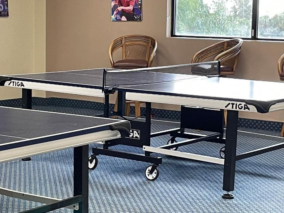 hollybrook ping pong - Copy - Copy - Cop