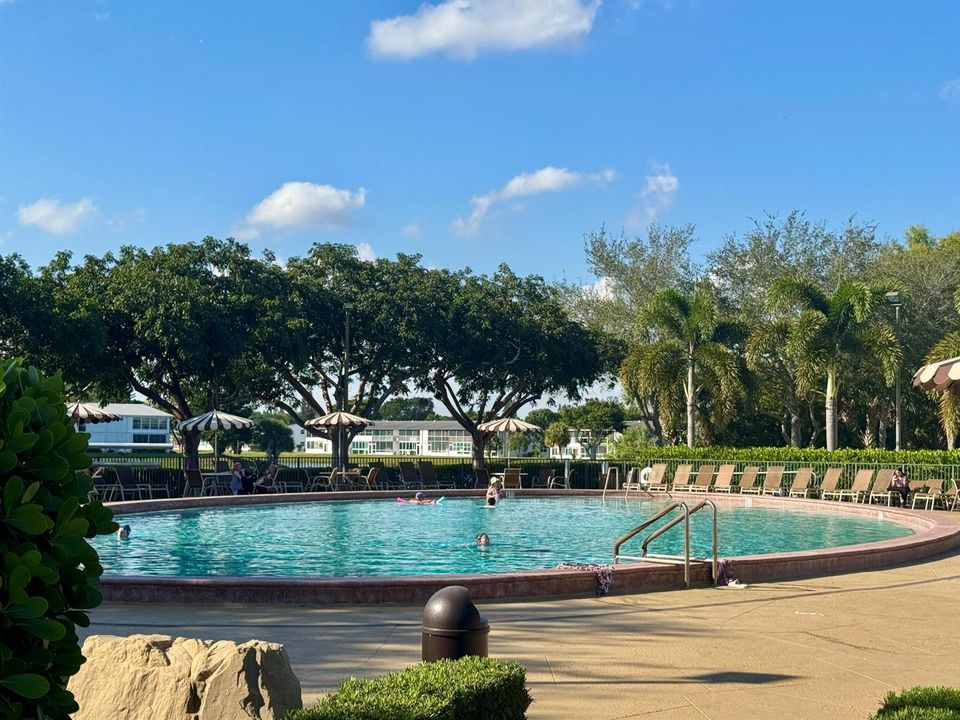 guest pool