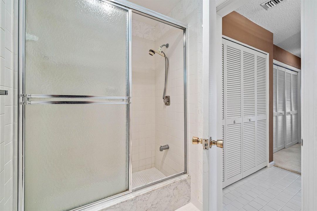 Main Bath Shower
