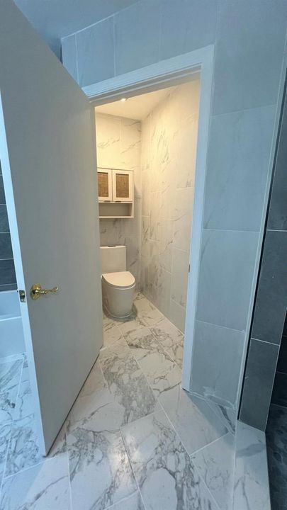 Master Bath Toilet