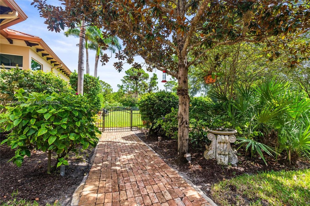 Privacy landscaping