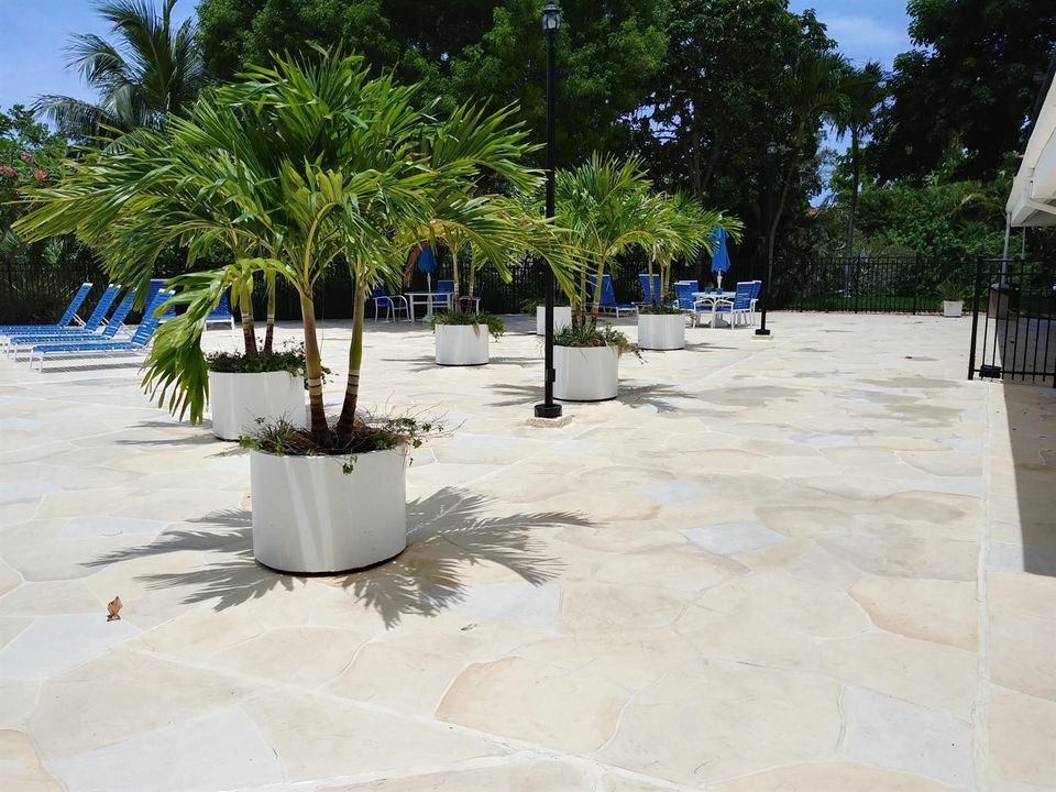 2019-07-07 13.55.42