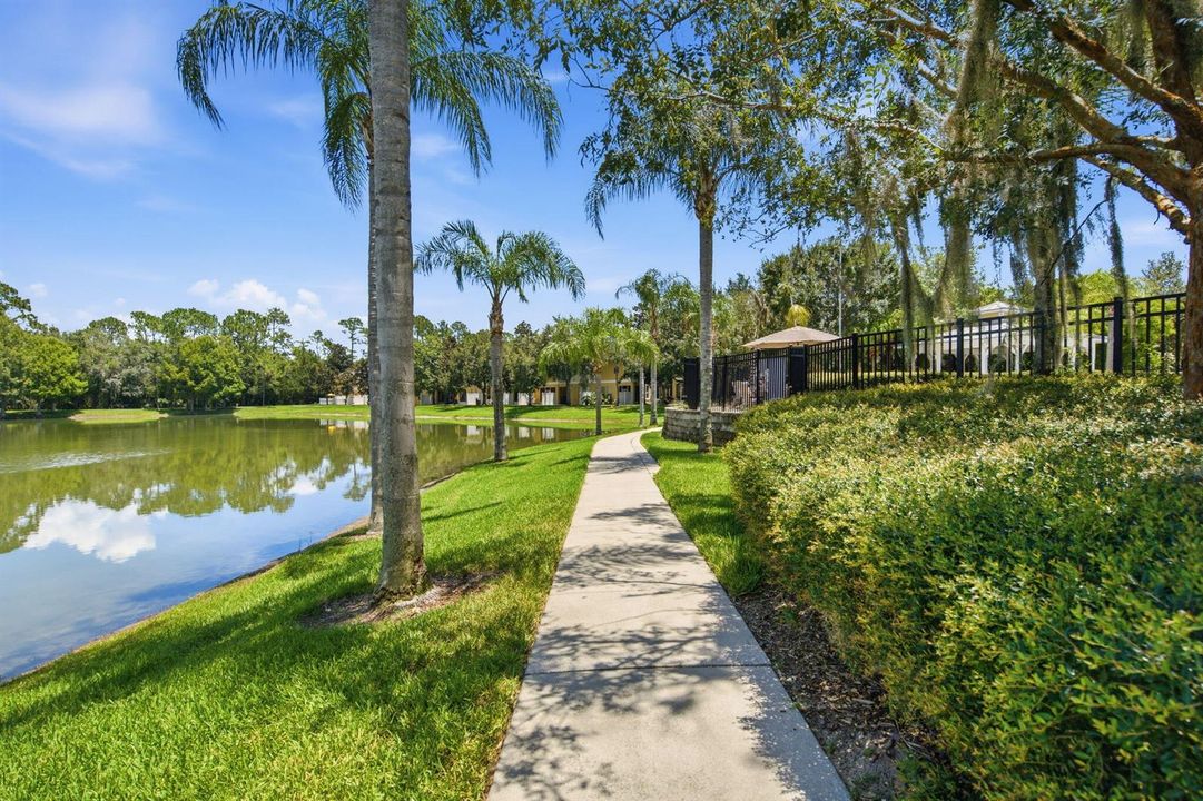 32-web-or-mls-8001 Enchanted-32