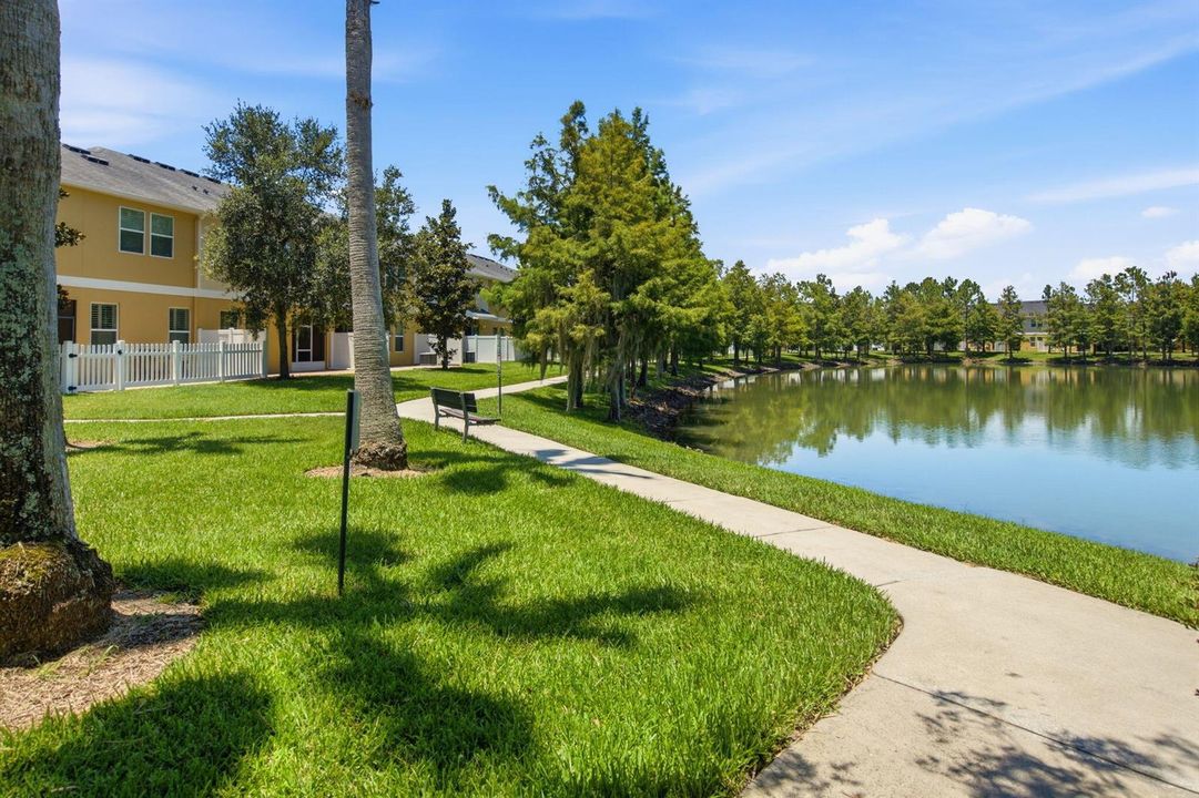 31-web-or-mls-8001 Enchanted-31