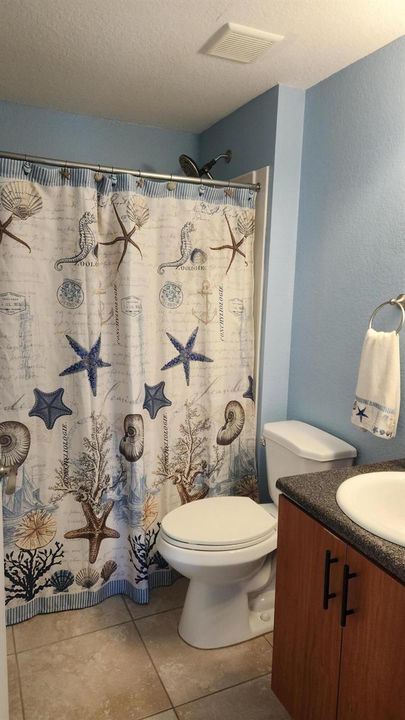 Guest bath 2