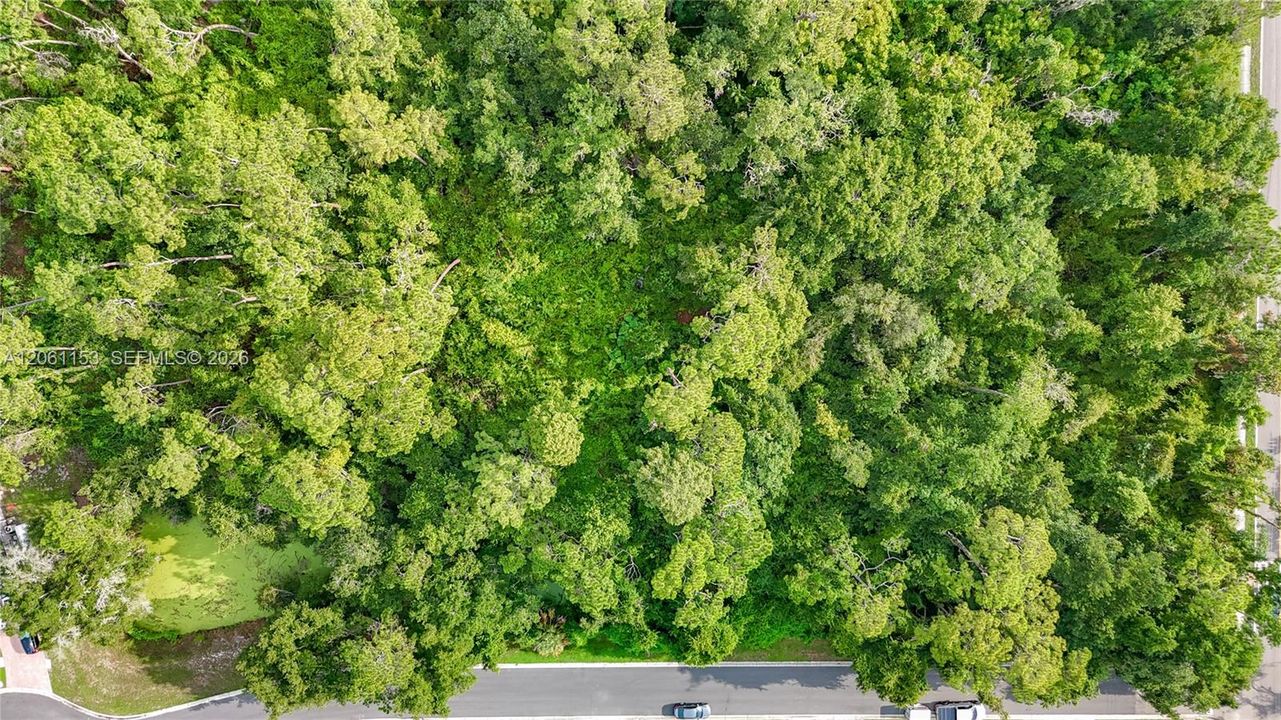 For Sale: $525,000 (1.01 acres)