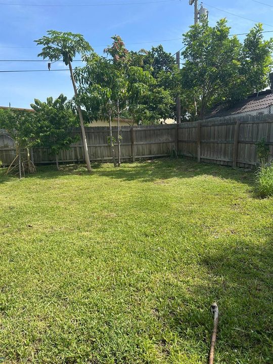 PATIO 5