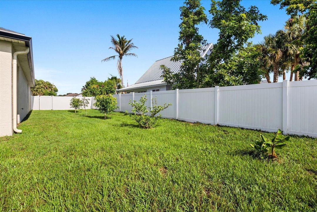 Side Yard