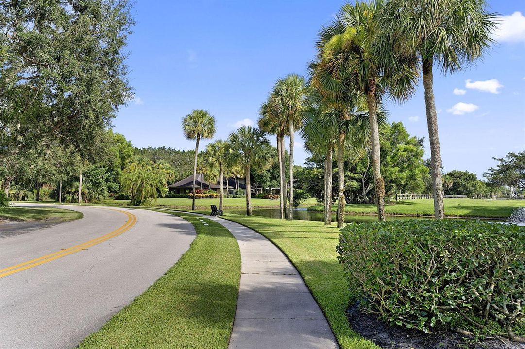 35-web-or-mls-317 - 035