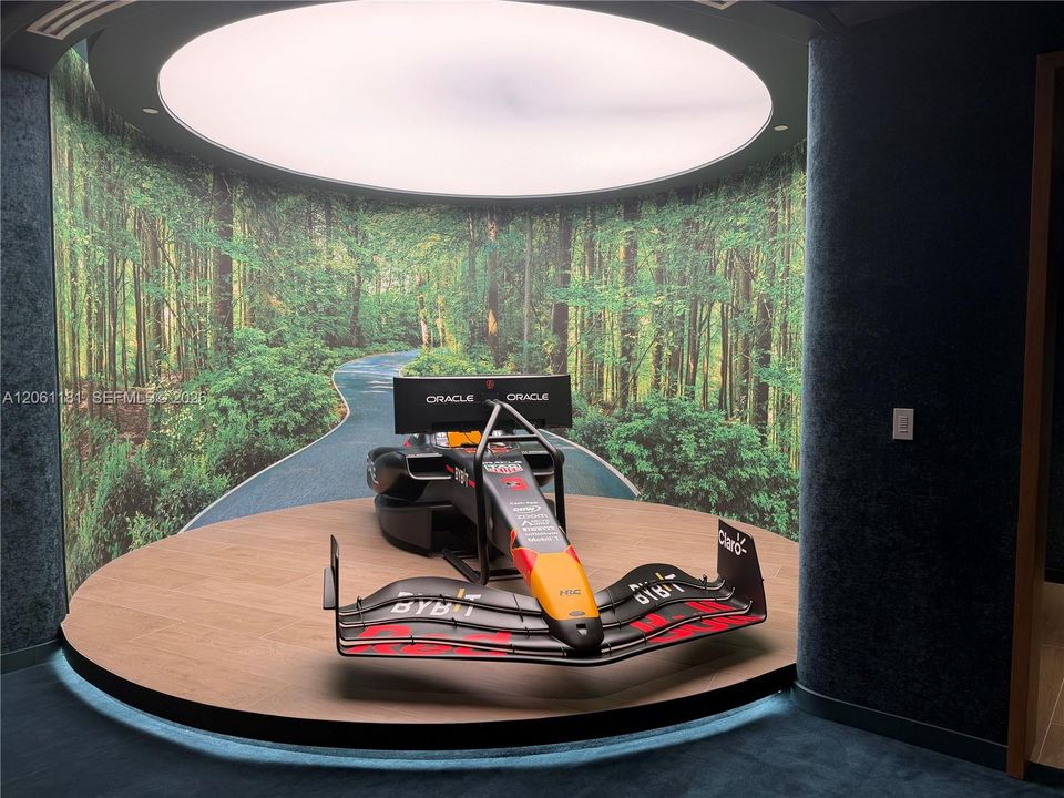 Formula 1 Simulator