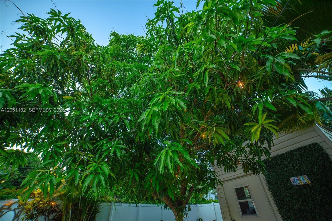 En Venta: $710,000 (3 camas, 2 baños, 1260 Pies cuadrados)