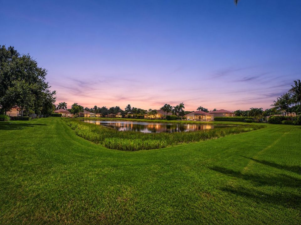 Lake view