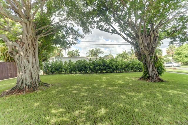 Front yard 1133 7th St Lake Park,FL 3340