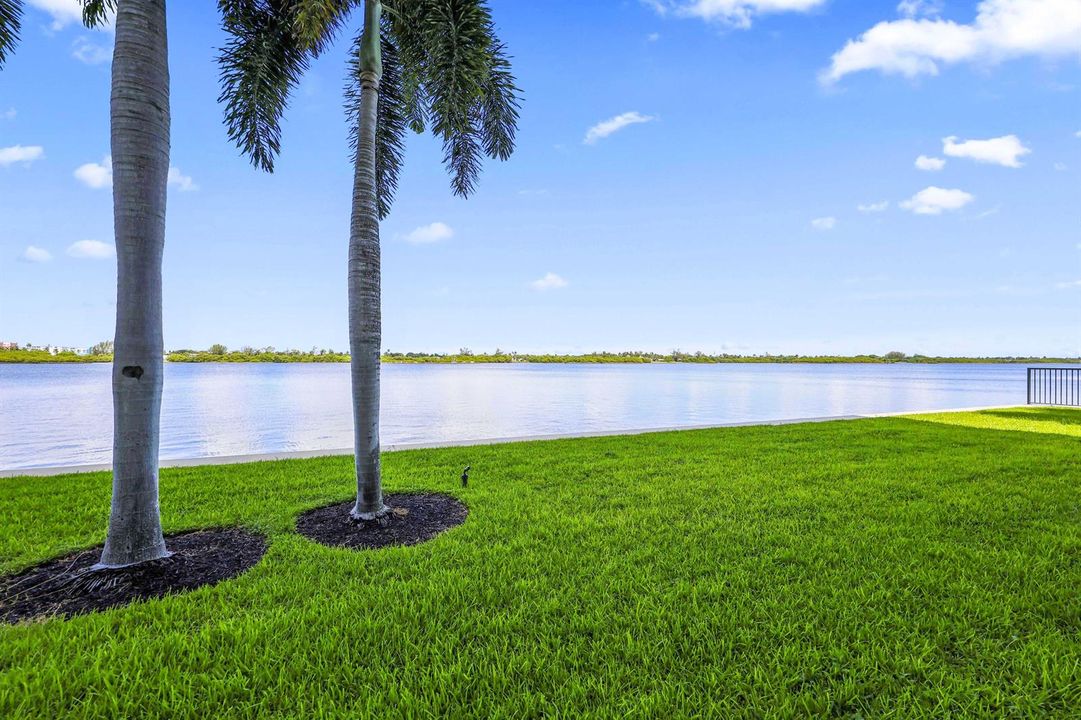 Cabana View
