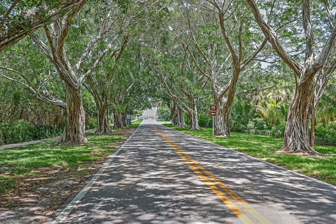 Bridge Rd. to Beach