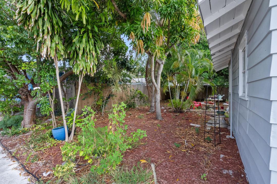 SIDE YARD