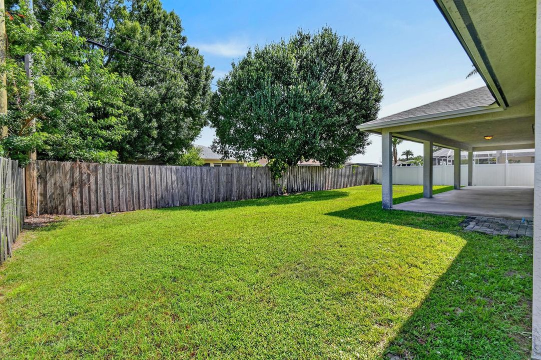 Backyard