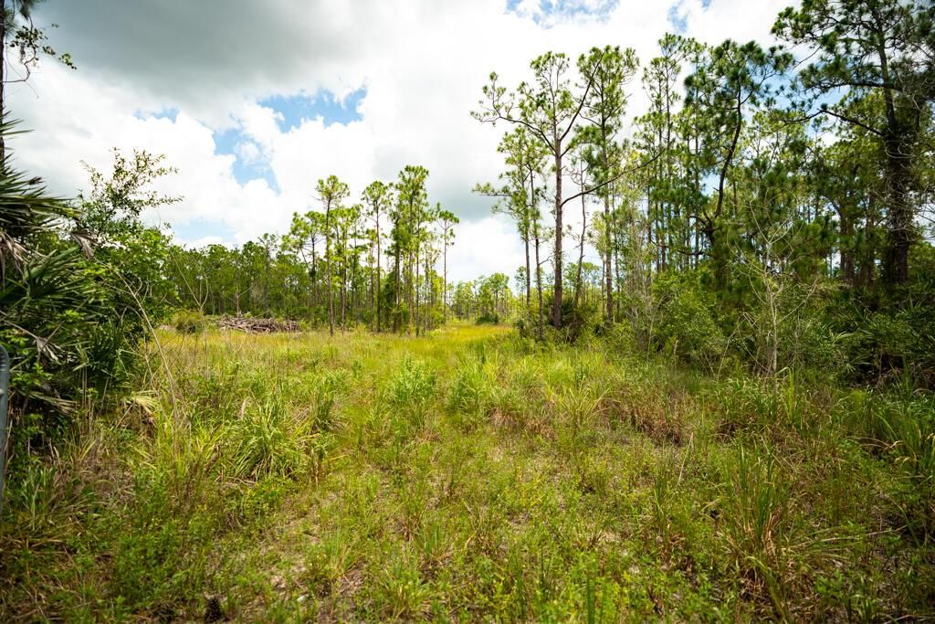 New Construction in Fellsmere For Sale