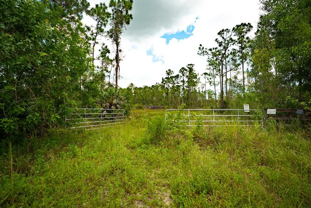 New Construction in Fellsmere For Sale
