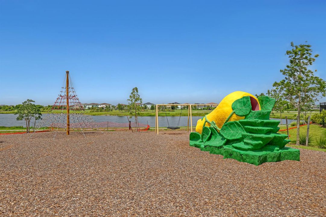Play Ground