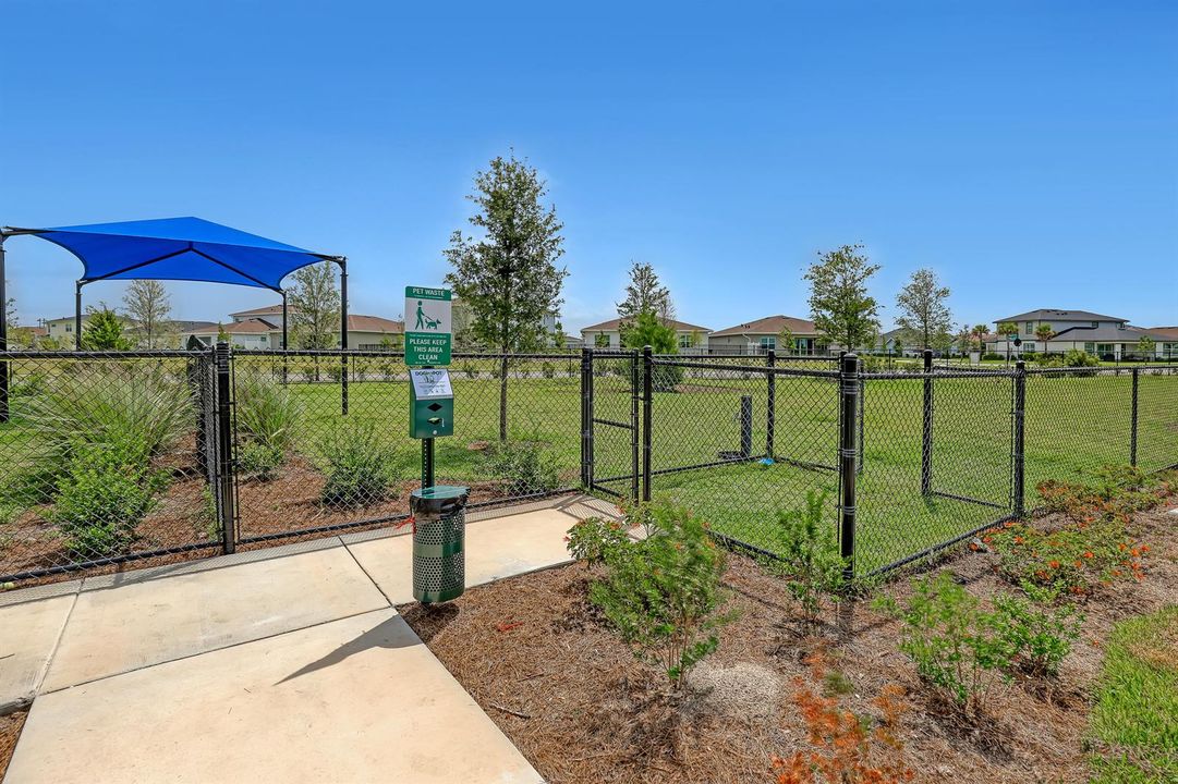 Dog Park