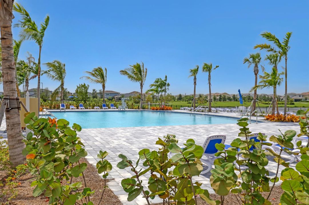 2nd Community Pool