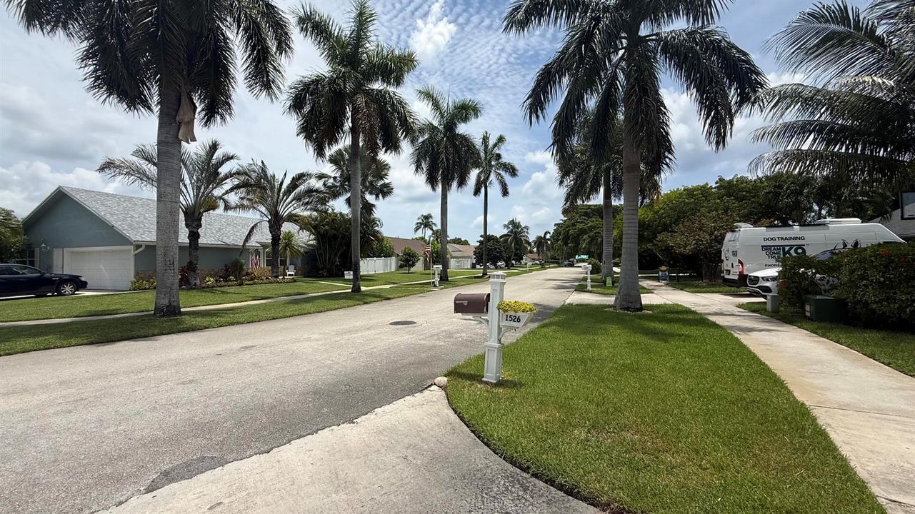 Front street view