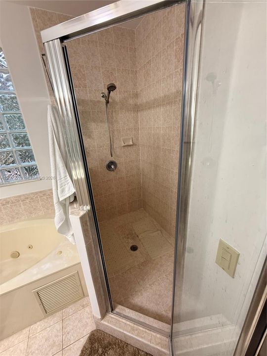 Master Shower