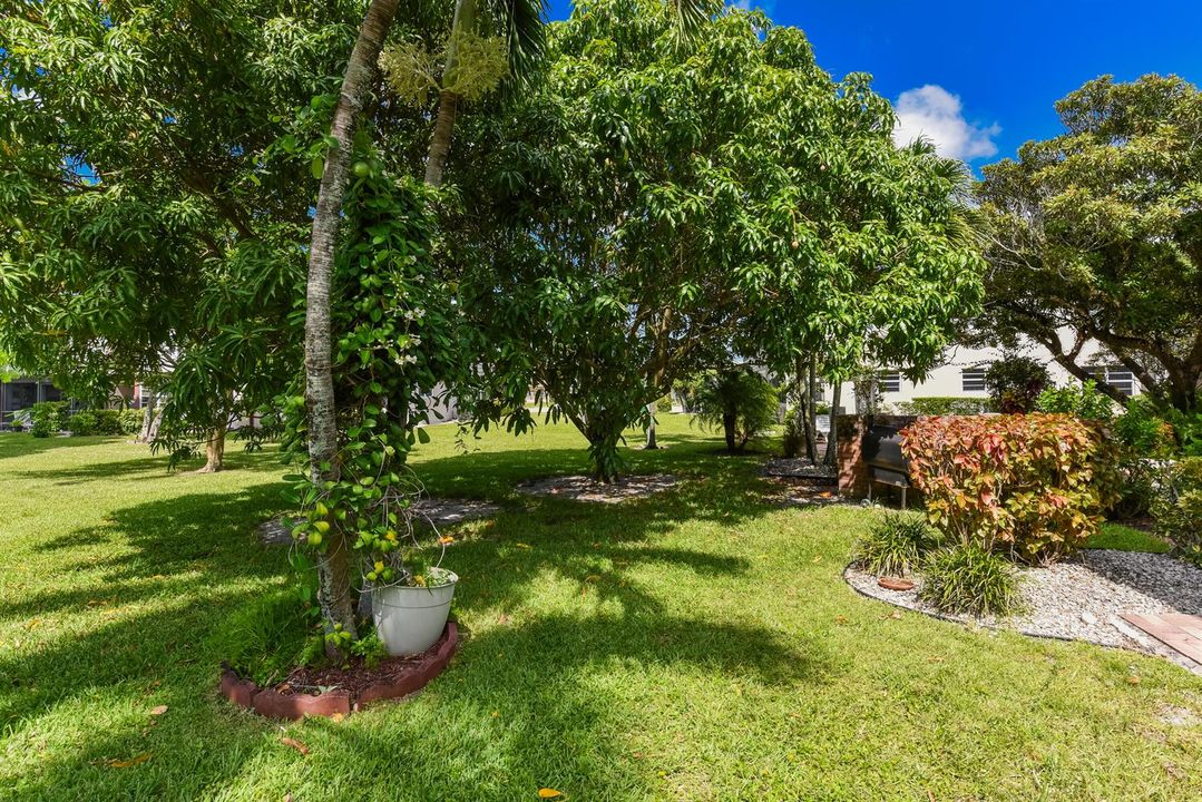 314 Chatham P_Roseline Abreu_22