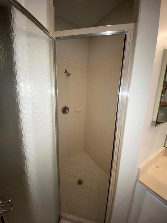 Primary Bathroom Suite